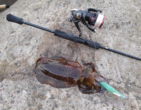 モエモエグリーンに萌え萌え